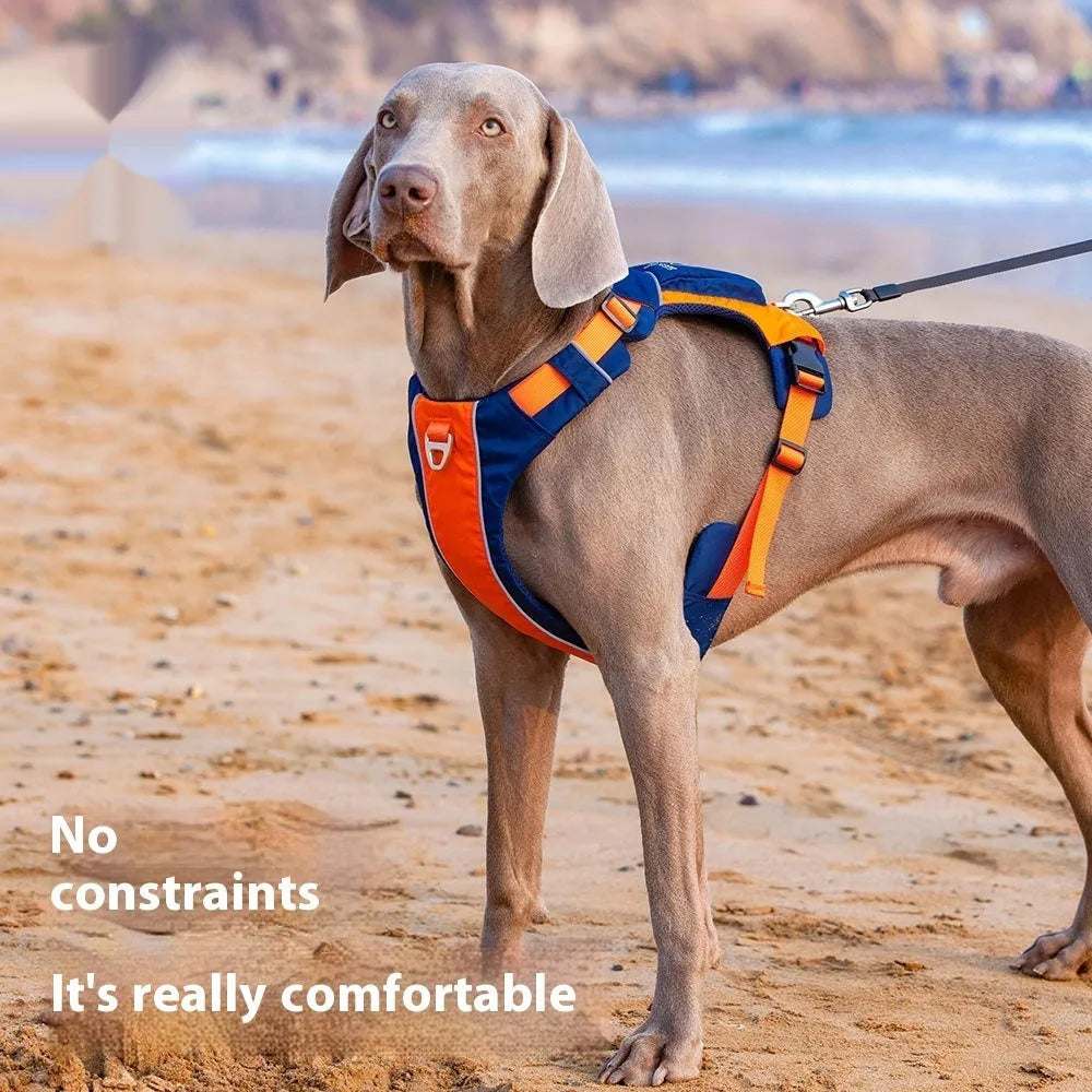 Dog chest strap vest harness in nylon with adjustable straps for secure walking