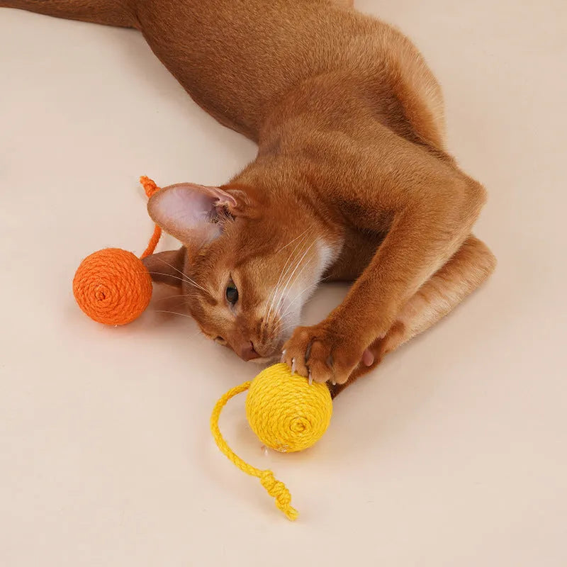 Cat toy set showing bite-resistant catnip ball and 255mm teaser stick in blue, green and multicolour options