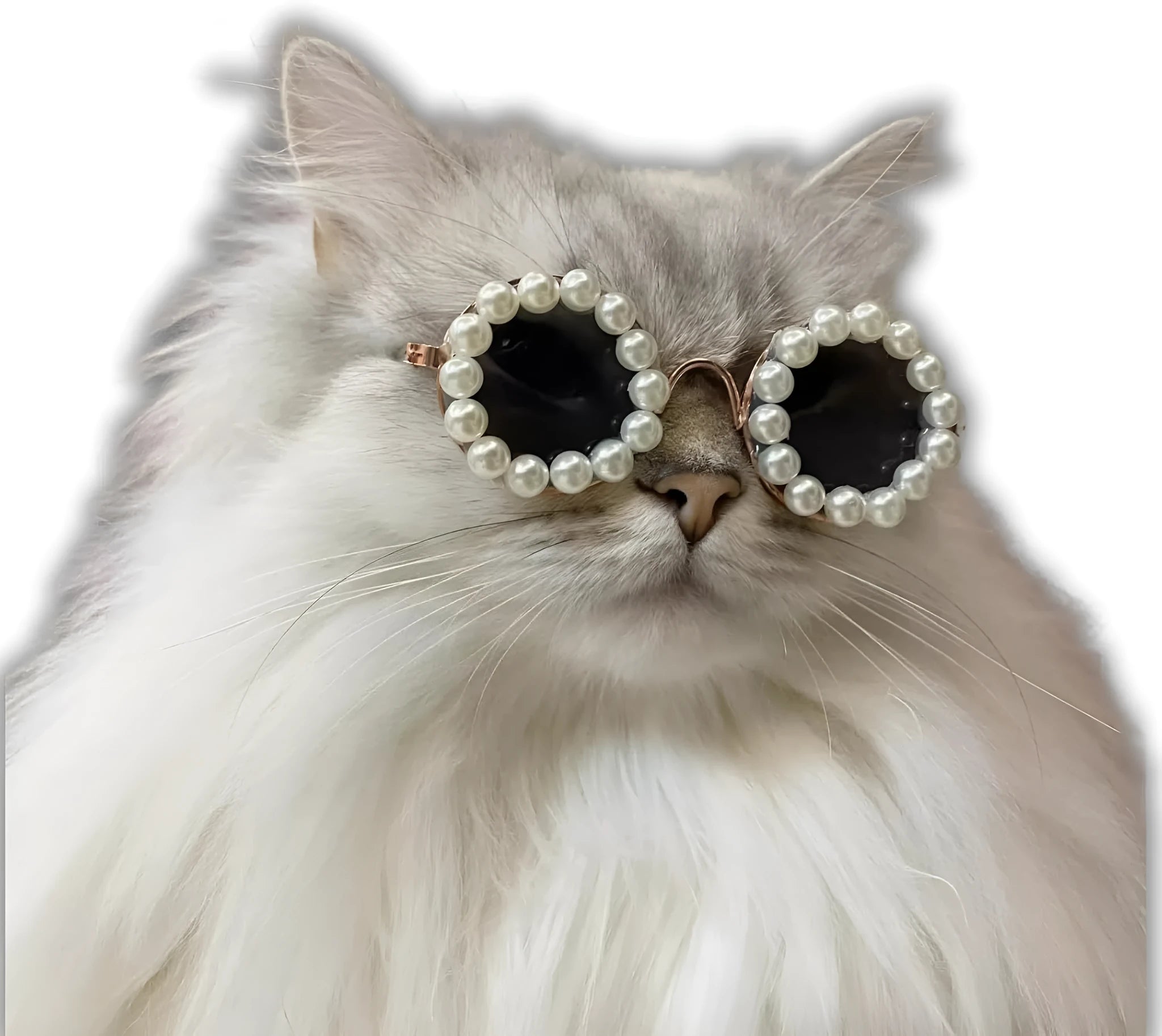 Pearl-rimmed round sunglasses for cats and dogs in multiple colours as costume accessories