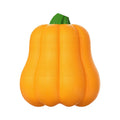 Orange pumpkin-shaped plastic dog chew toy with rope attachment for tug-of-war and fetch games