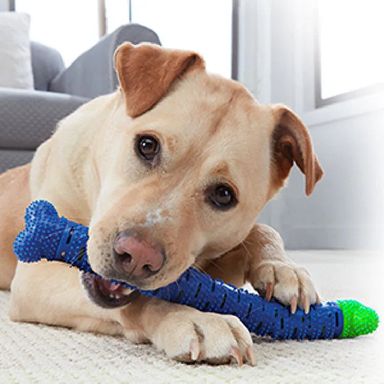 Blue-green silicone dog dental chew stick with textured cleaning surface, 25cm long.
