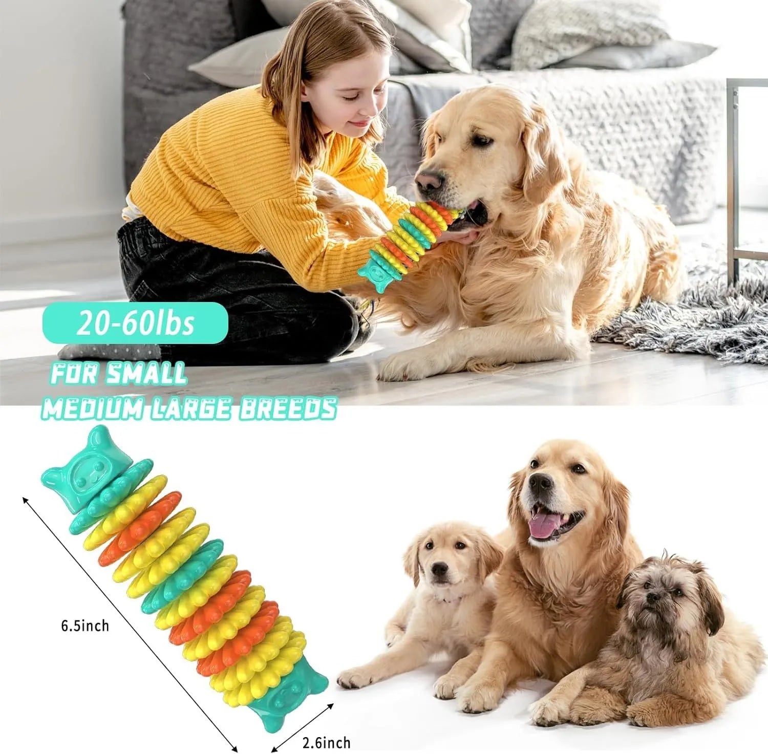 Blue caterpillar-shaped natural rubber dog chew toy measuring 17cm long