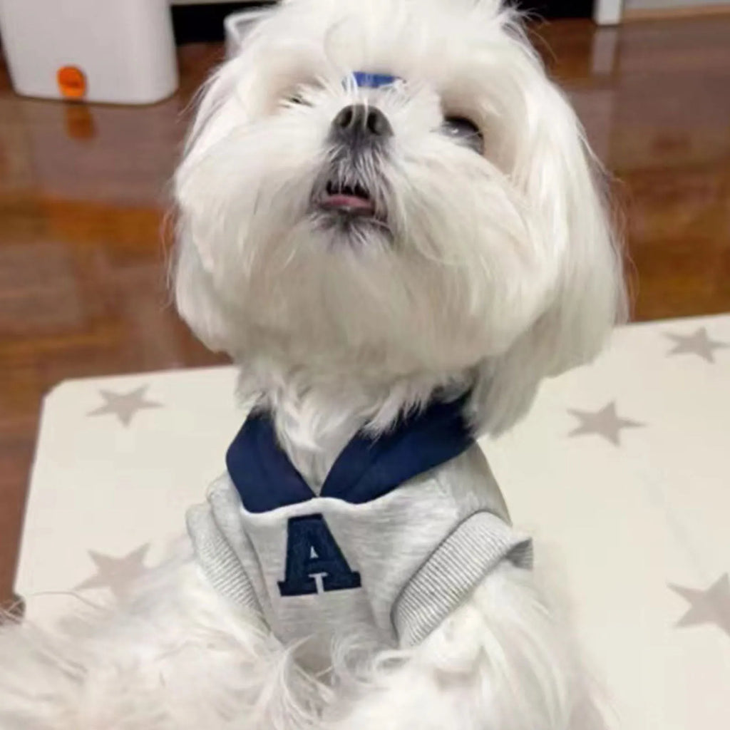 Blue and white reflective letter slim-fitting pet hoodie for dogs and cats
