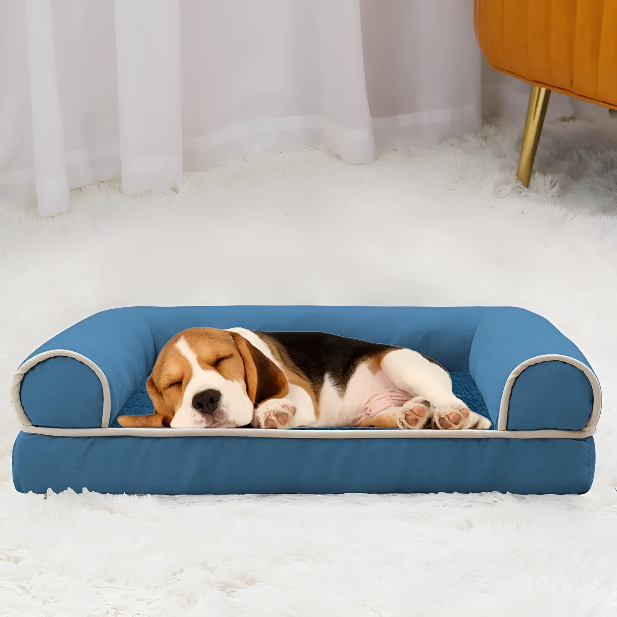 Square sponge dog bed with removable cloth cover shown in blue, size XL.