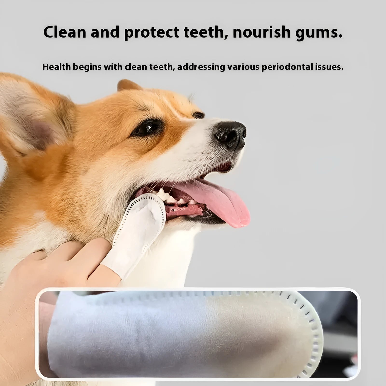 Pack of 50 white non-woven fabric pet teeth cleaning finger stalls or cots.