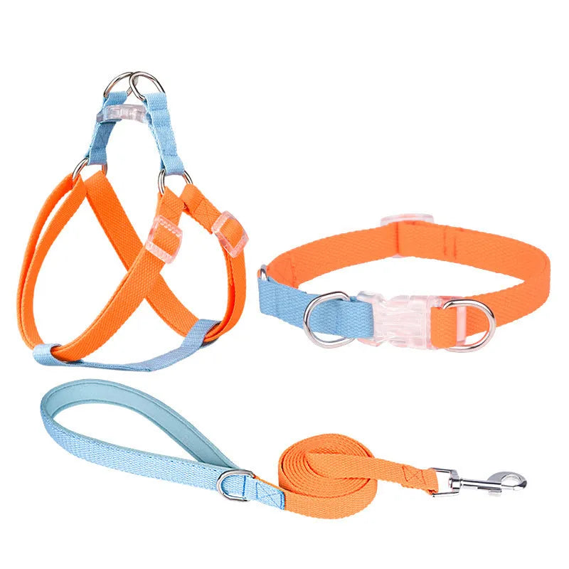 Set of pink and blue polyester ribbon dog collar, matching chest harness, and hand-held rope lead.