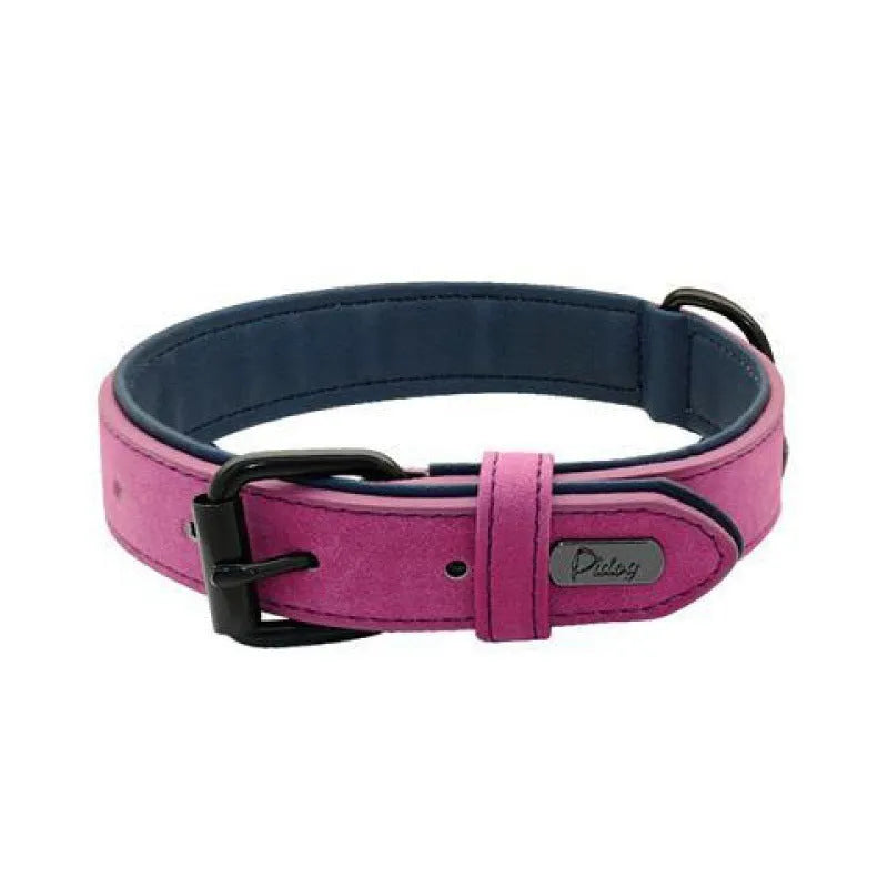 Adjustable double-layer thickened dog collar in purple, showing buckle and D-ring for ID tags.