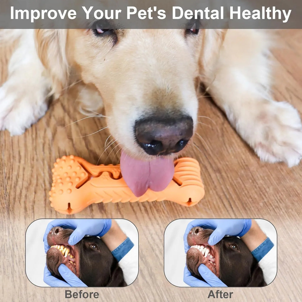 Blue bone-shaped natural rubber dog chew toy with textured surface for teeth cleaning.