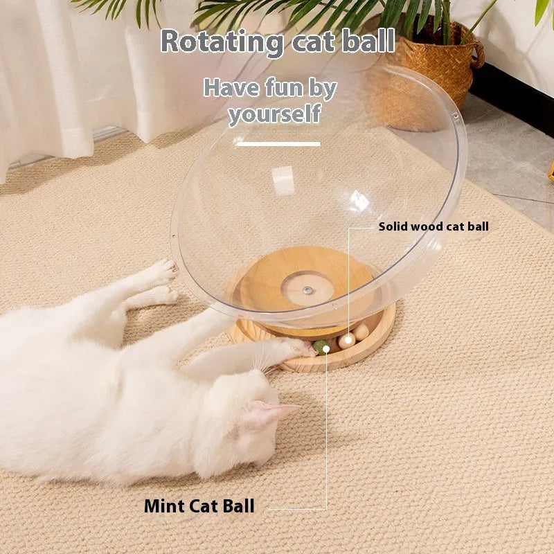 Transparent acrylic space capsule cat bed on turntable base with cat inside