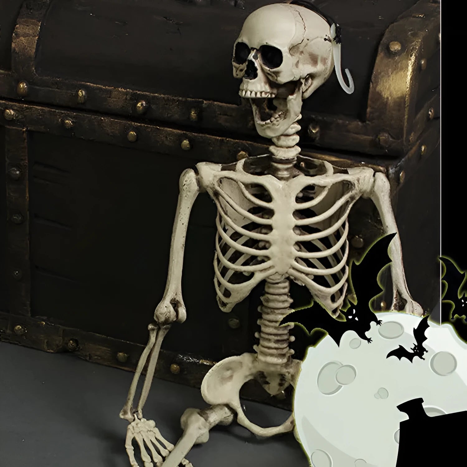 170cm tall plastic skeleton prop with detailed simulation skull for Halloween and teaching