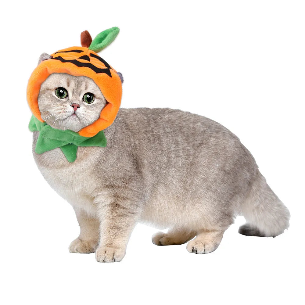 Halloween pet cloak with double-sided pumpkin design on plush material for dogs and cats