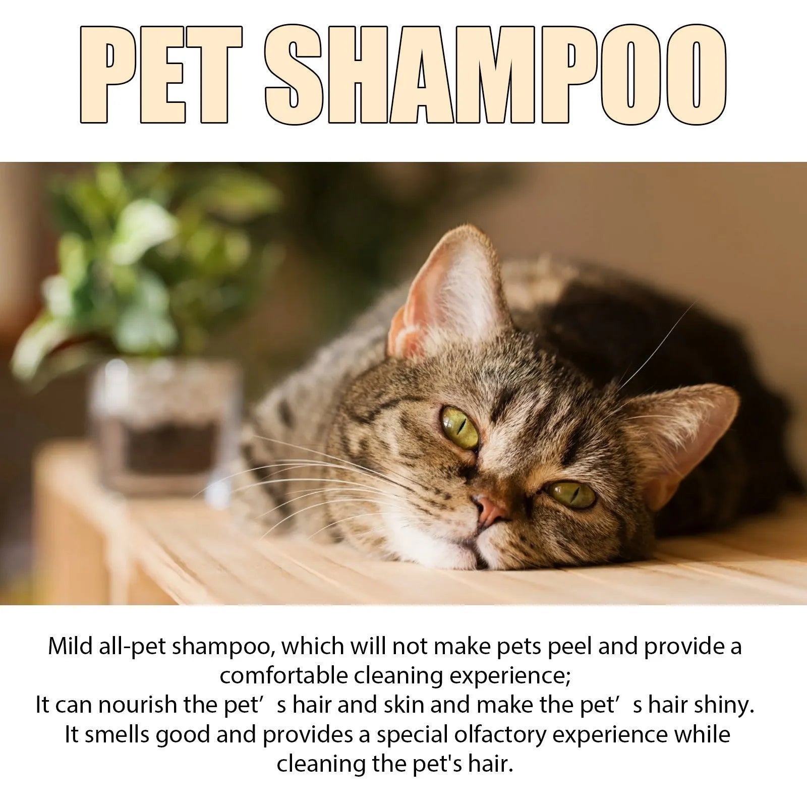 Bottle of mild pet shampoo for cats and dogs, available in 100ml and 300ml sizes.