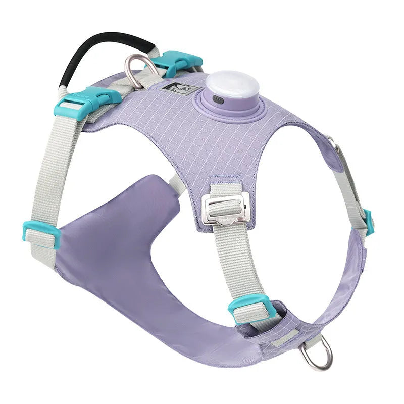 LED dog harness with chest strap in nylon material shown in multiple colour options