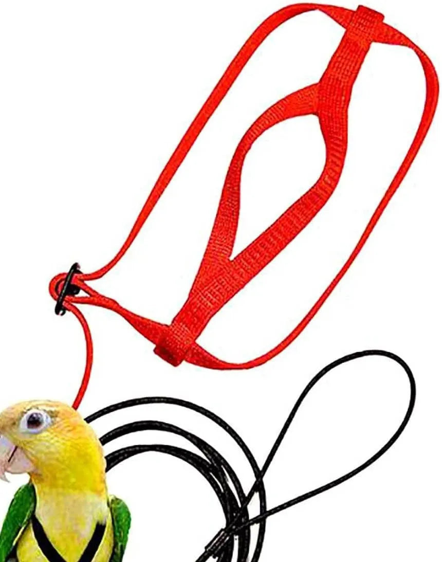 Parrot flying rope harness with soft silk satin strap and metal chain, adjustable sizes XXS to XL
