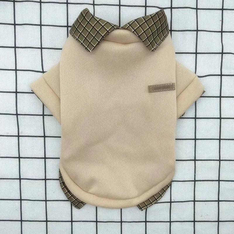 Two-piece dog sweater with detachable collar in thin velvet polyester material