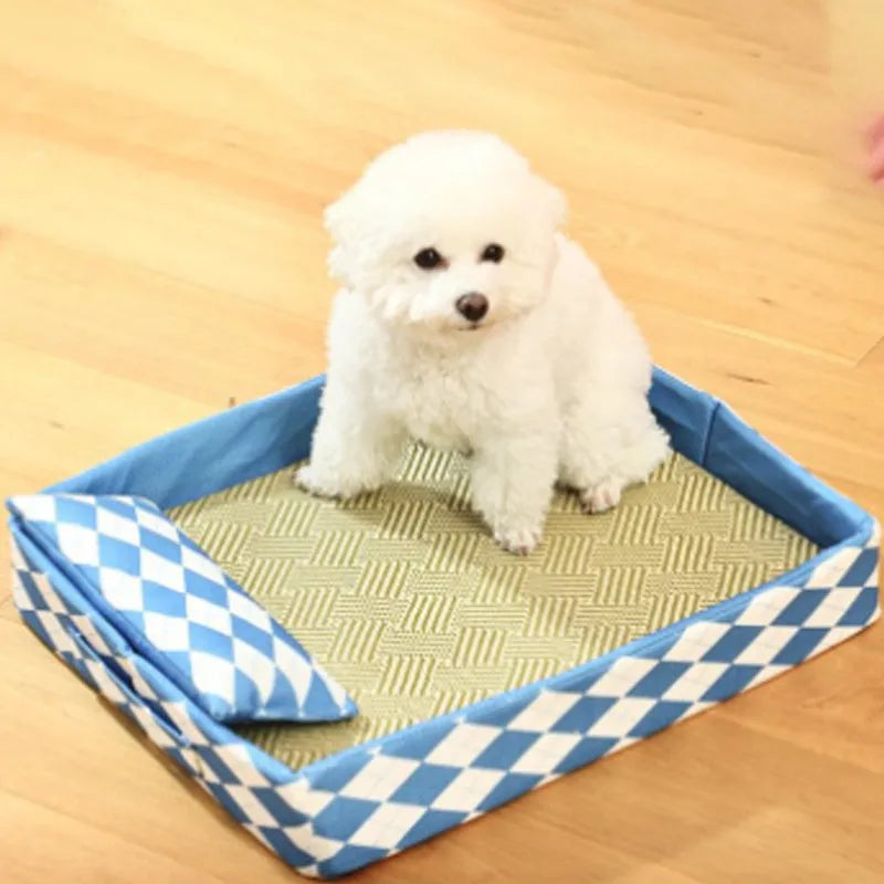 Rattan cat bed and litter mat in blue or green showing textured surface and non-removable base design
