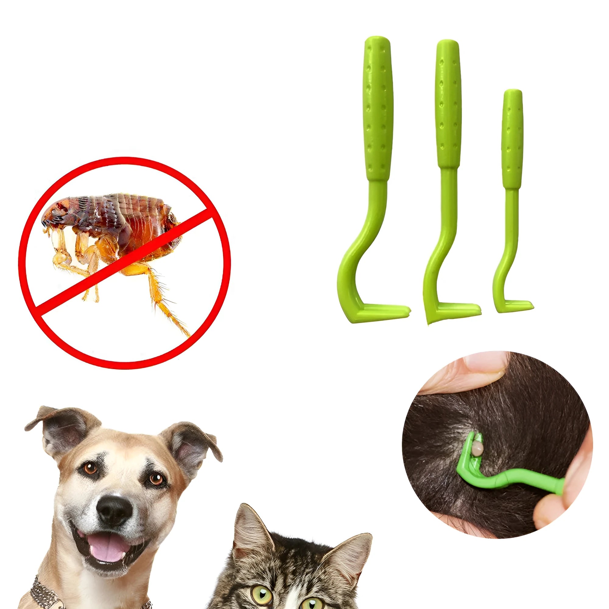 Set of three blue and green plastic pet tick removal clips on a white background.