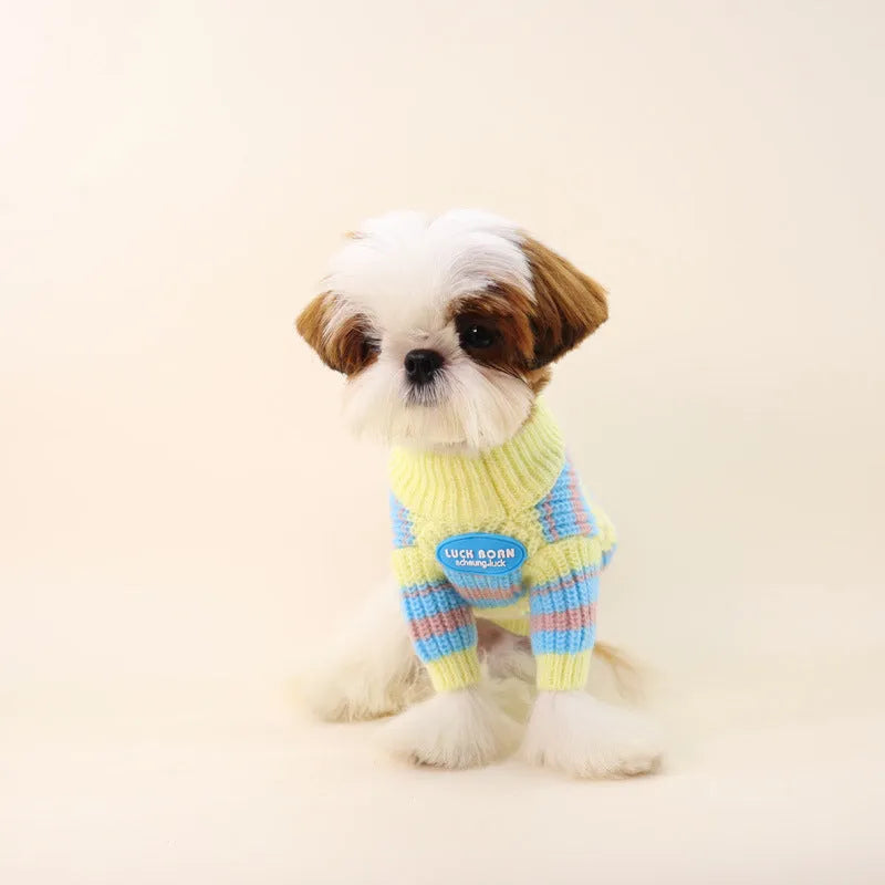 Blue and yellow striped dog sweater for small breeds shown on mannequin