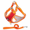 Adjustable breathable mesh dog harness with reflective piping in black, shown on a small dog.