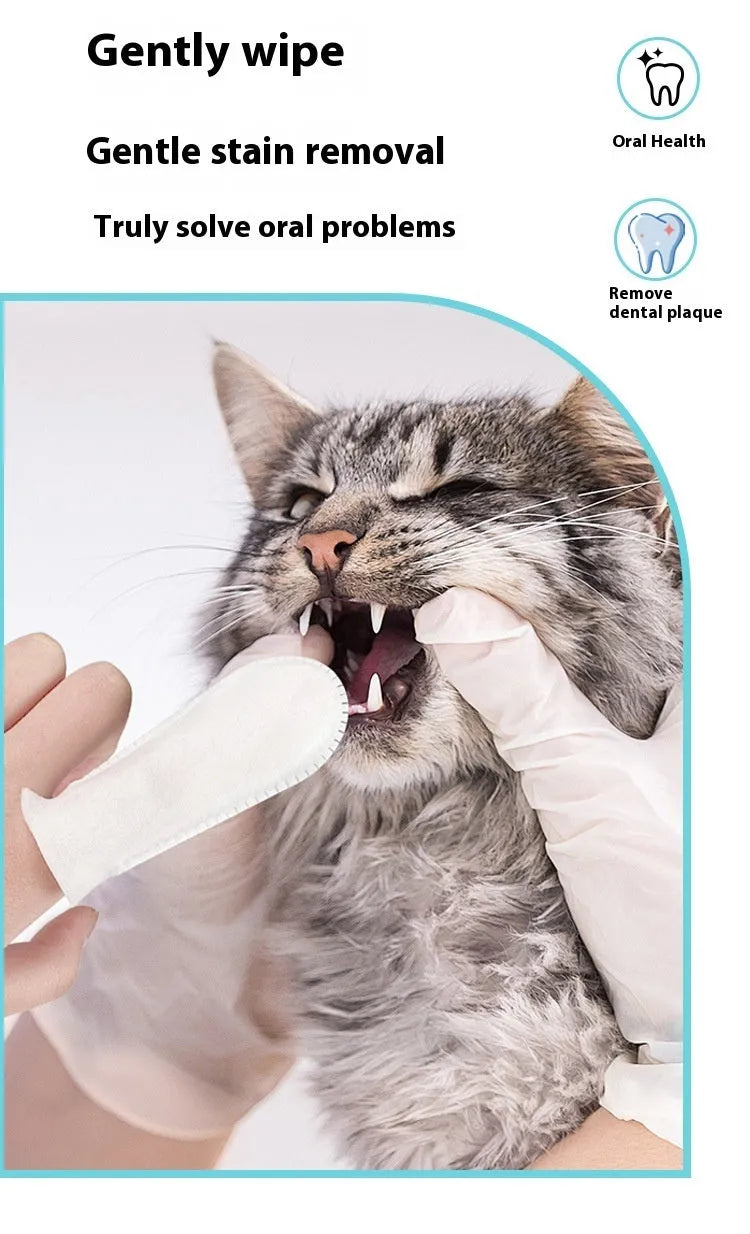 Pack of 50 white non-woven fabric pet teeth cleaning finger stalls or cots.