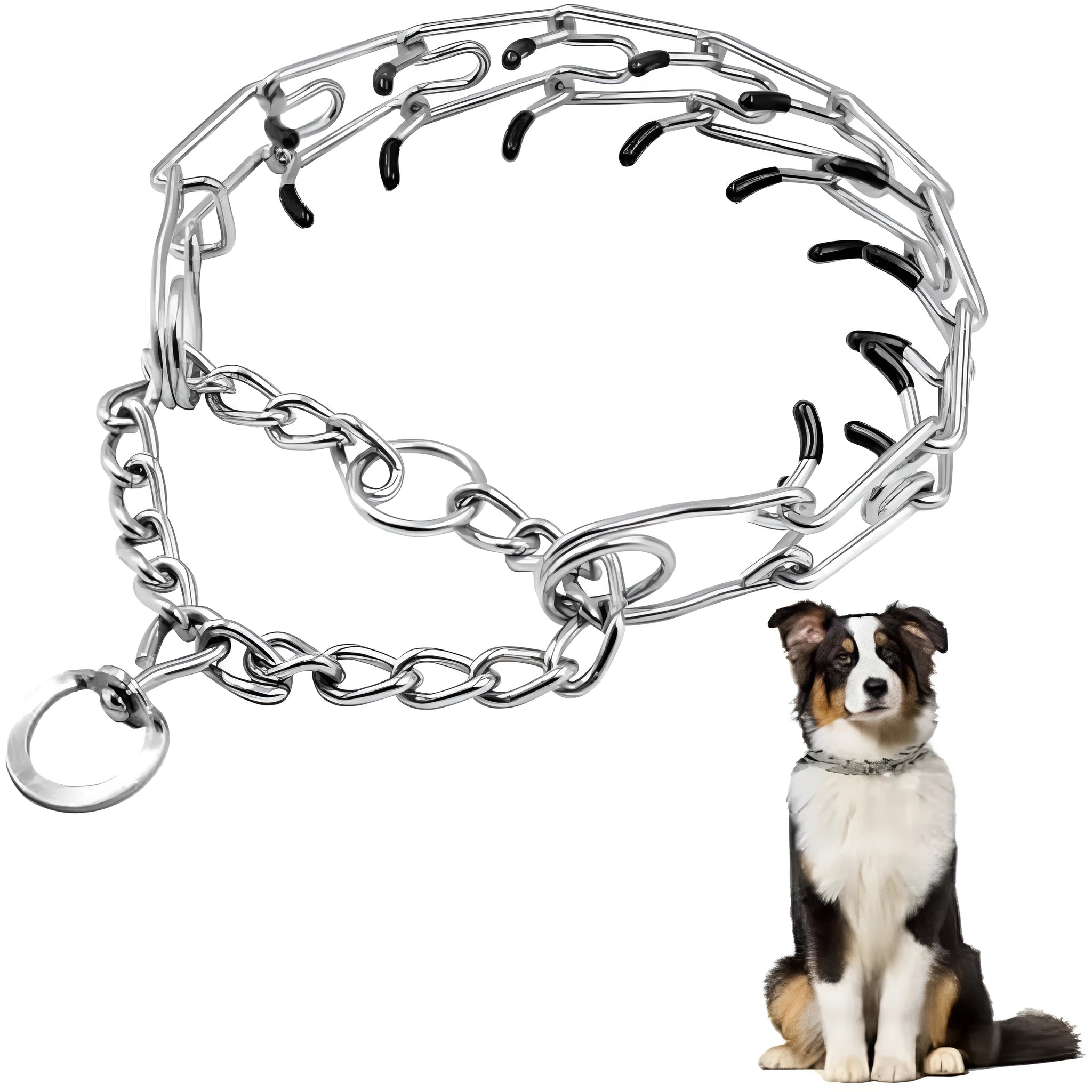 Stainless steel dog prong training collar with rubber tips and adjustable chain links
