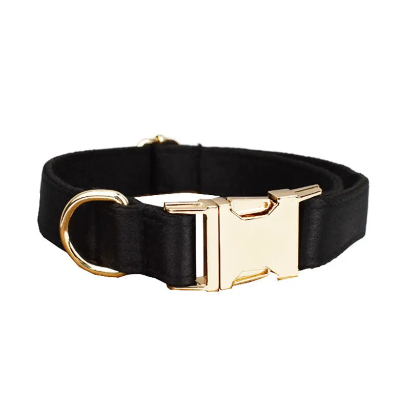 Dog wearing cloth chest strap harness with matching collar, leash, and decorative bow tie
