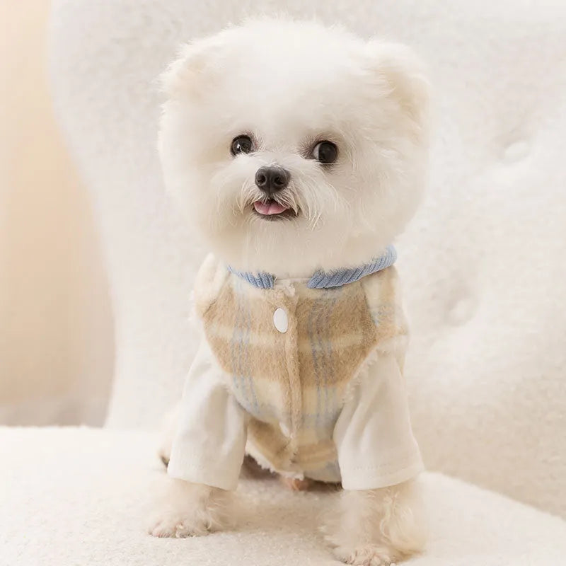 Blue corduroy hooded vest for pets with a grid pattern and traction elements on the hood.