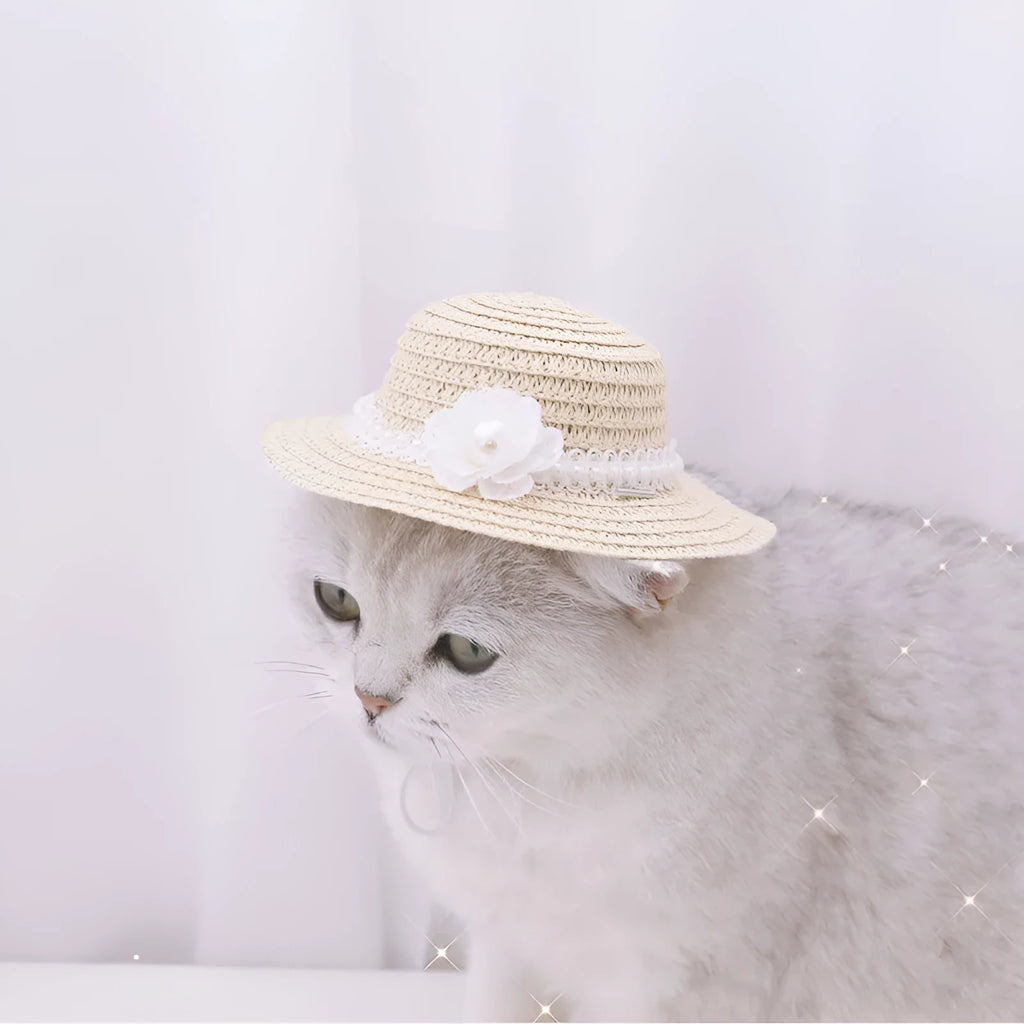 Handmade paper pet hat with adjustable bowknot for dogs and cats in cartoon style