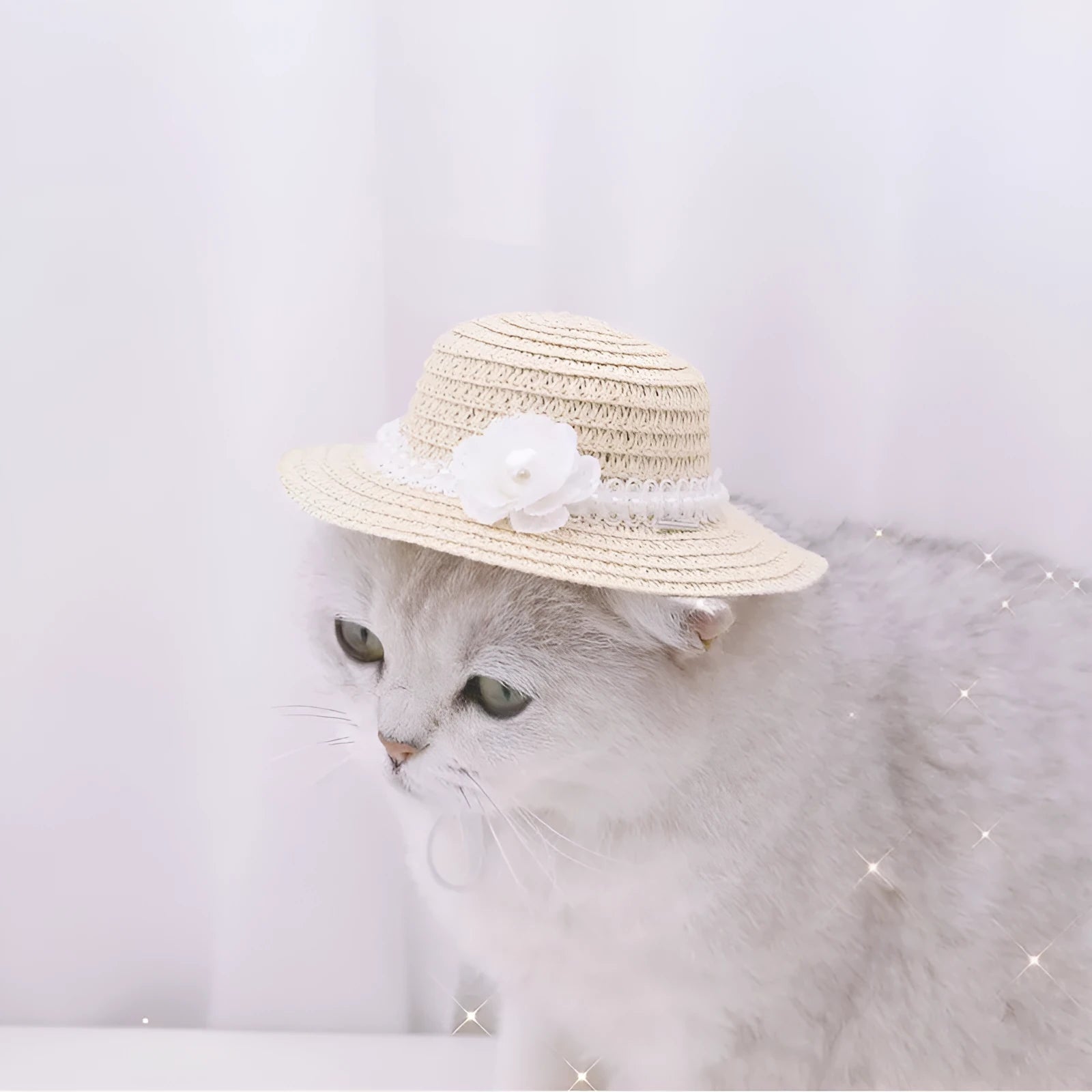 Handmade paper pet hat with adjustable bowknot for dogs and cats in cartoon style