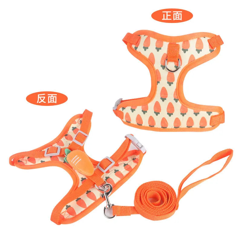 Reflective vest-style chest strap and lead for a small dog in avocado colour.
