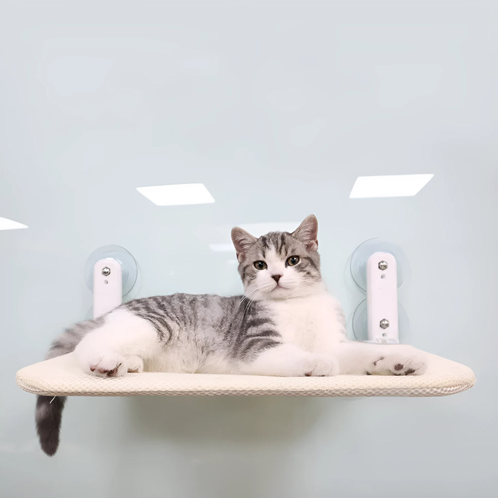 Stainless steel cat window seat cushion with suction cup mounting on glass