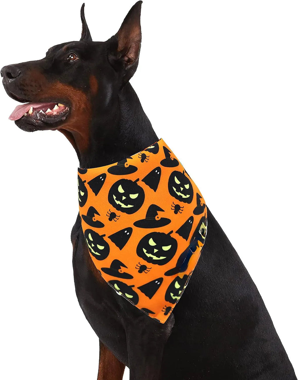 Black and orange reversible Halloween dog bandana with pumpkin and spider web patterns, showing adjustable fastening.