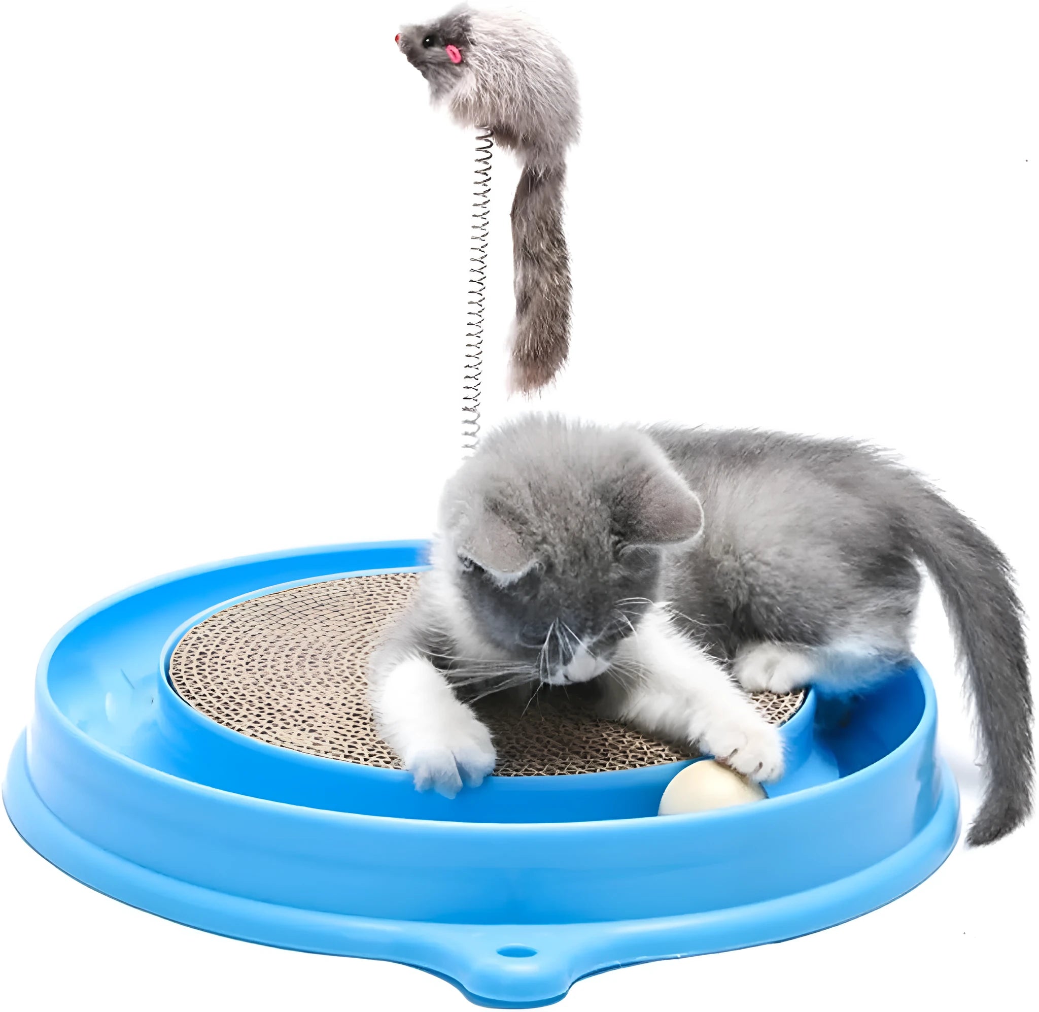 Circular blue cat scratcher with ball track and replaceable cardboard centre for indoor play