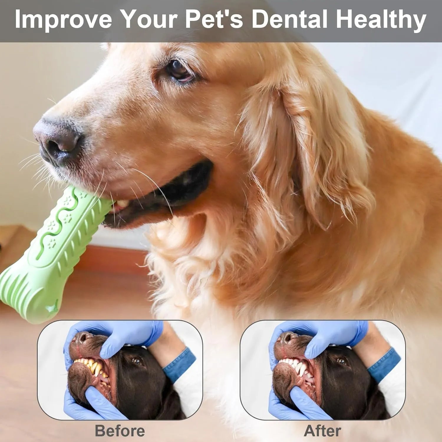 Blue bone-shaped natural rubber dog chew toy with textured surface for teeth cleaning.