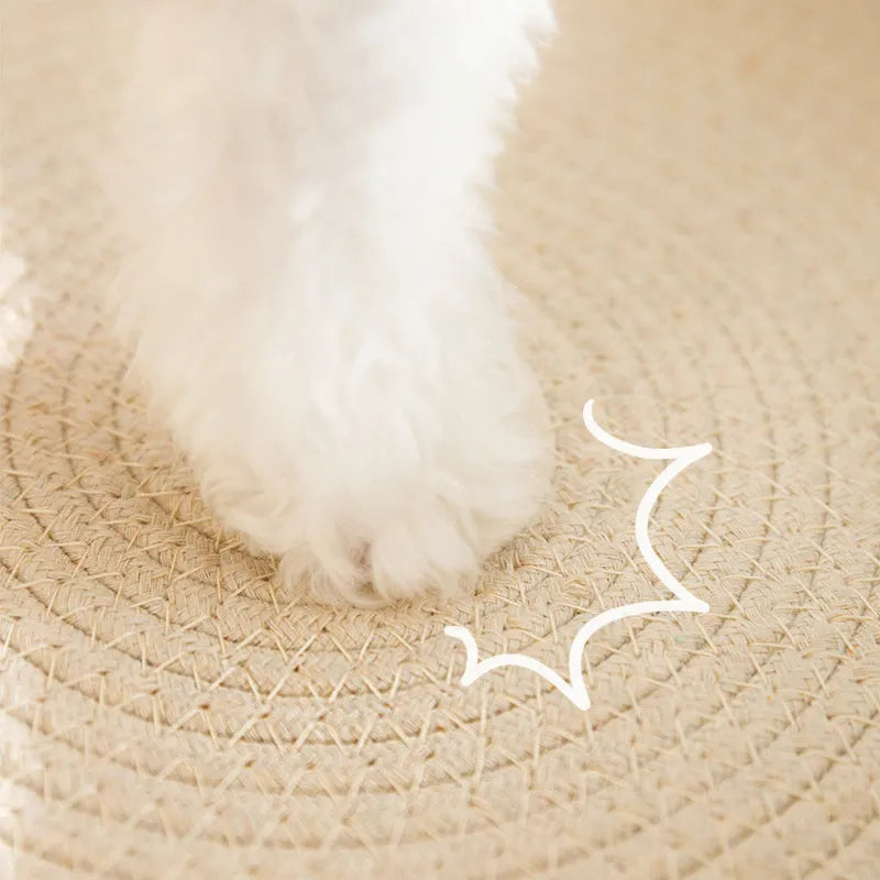 Green oval cat scratch pad bowl with sisal scratching surface measuring 650x420mm
