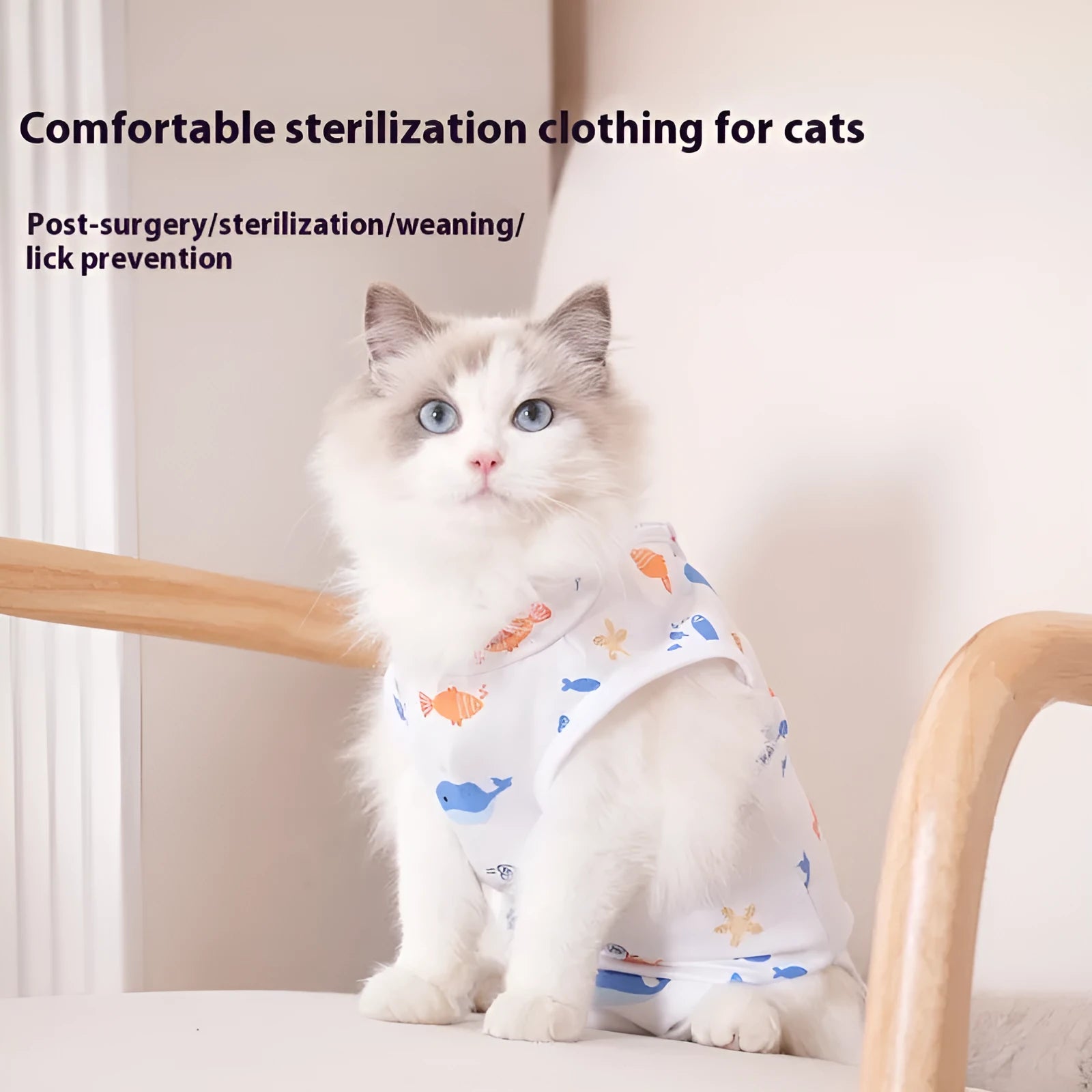 Cat wearing a sterilisation recovery suit with Velcro fastening and a printed pattern design