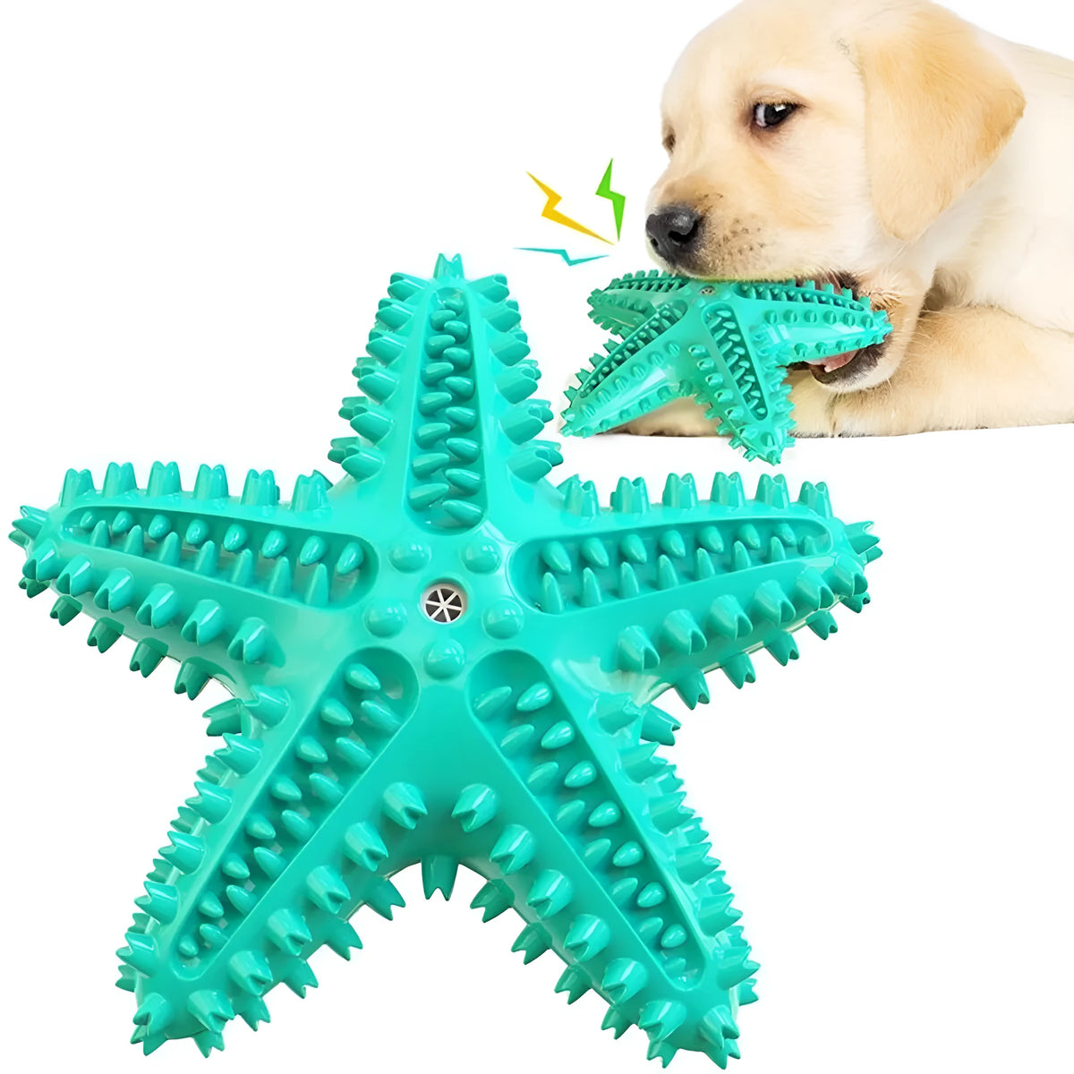 Blue, green, or yellow starfish-shaped edible TPR dog toy for large dogs with squeaky dental chew design