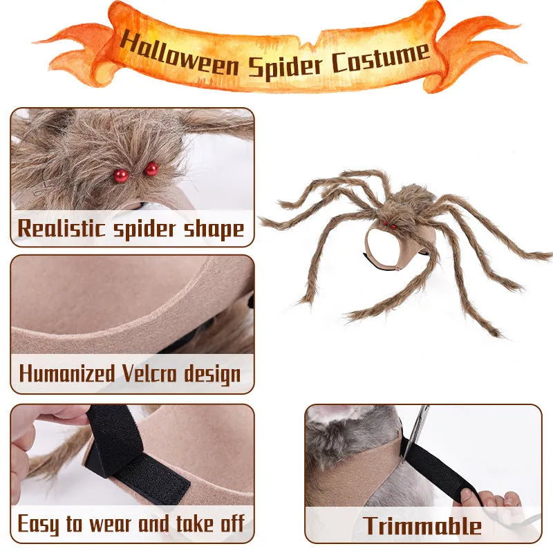 Halloween spider costume for dog or cat in black and purple colours with stretchy polyester fabric
