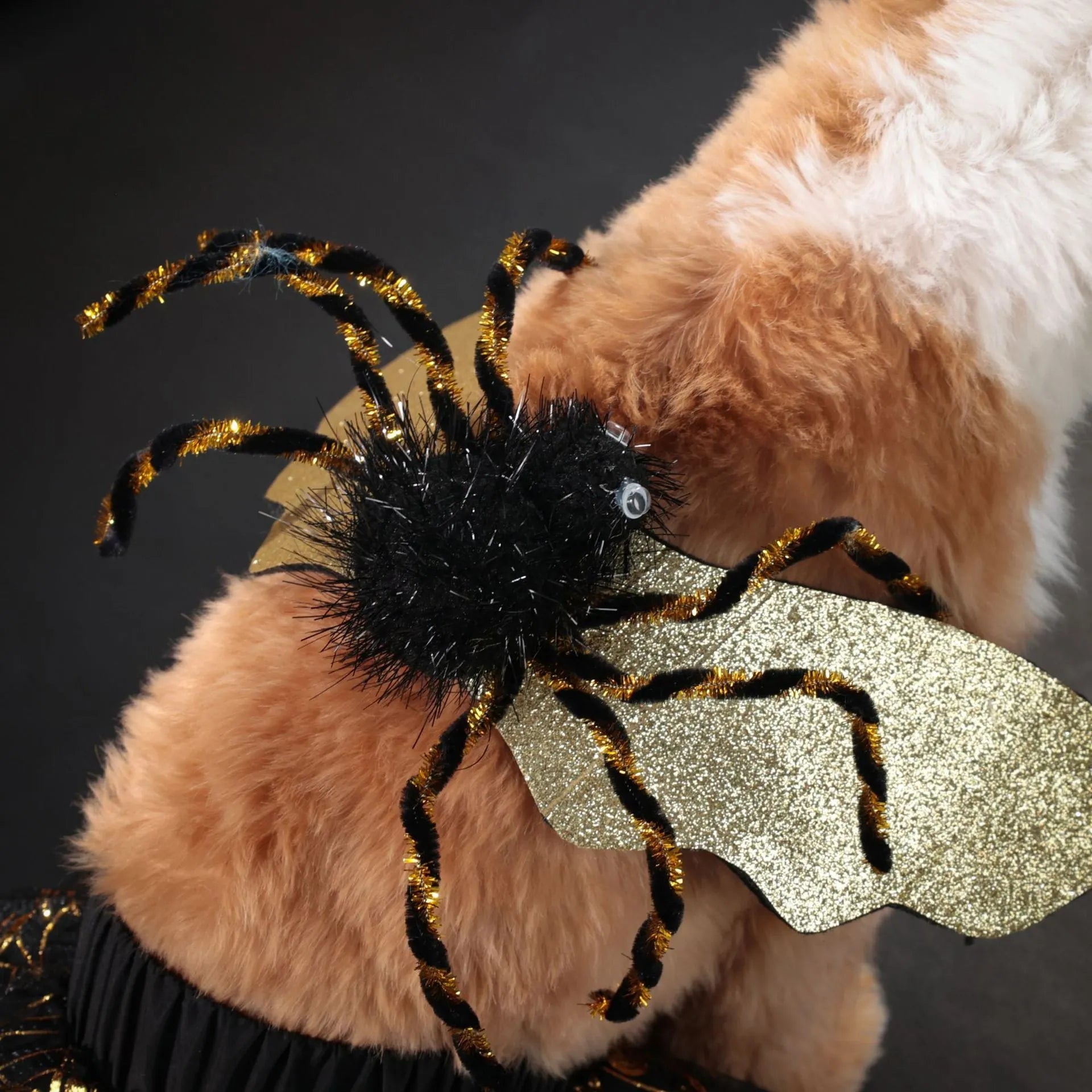 Black dog Halloween costume suit in polyester material shown on a pet