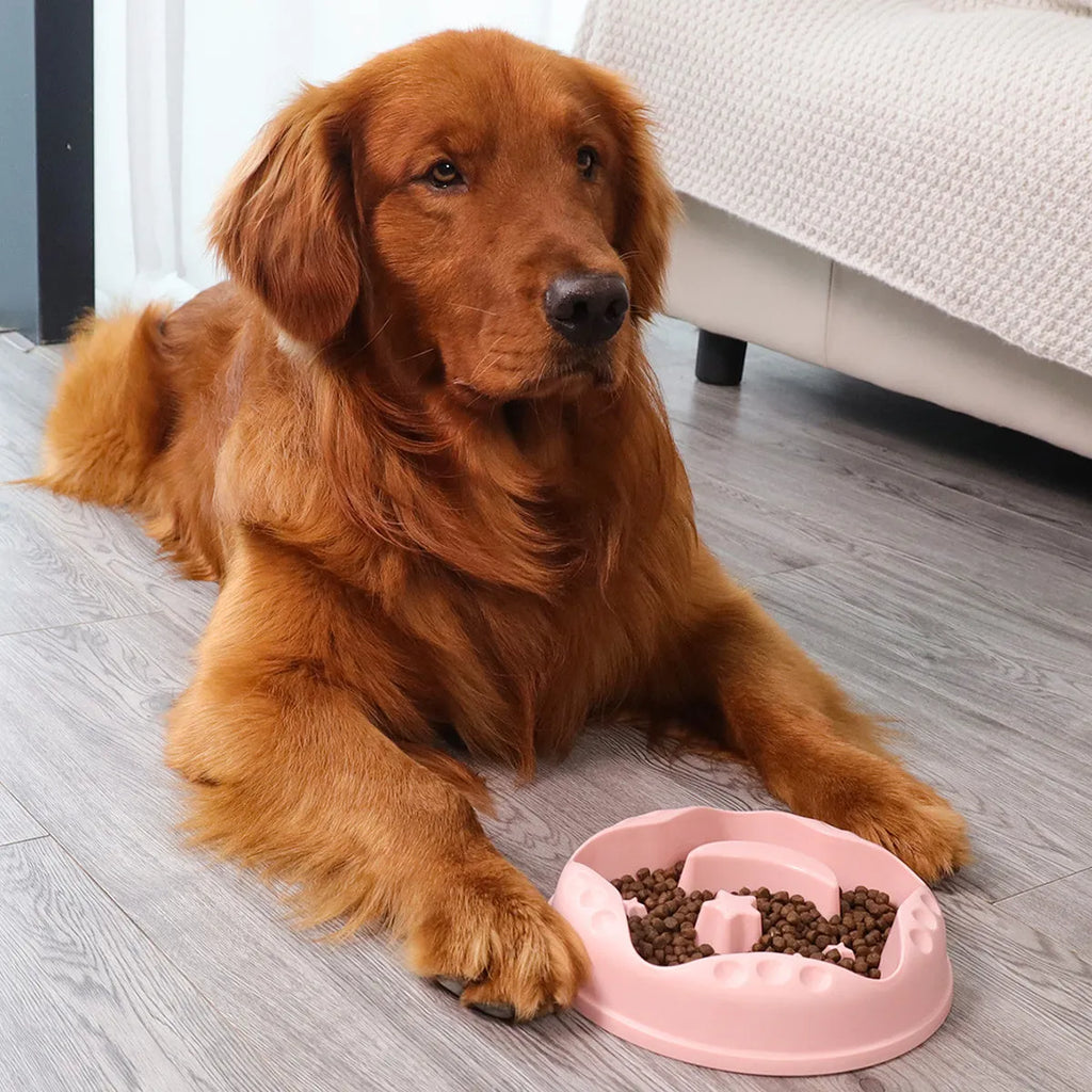Moon Star Wings large slow-feeding pet bowl in blue, showing internal raised centre and wing design