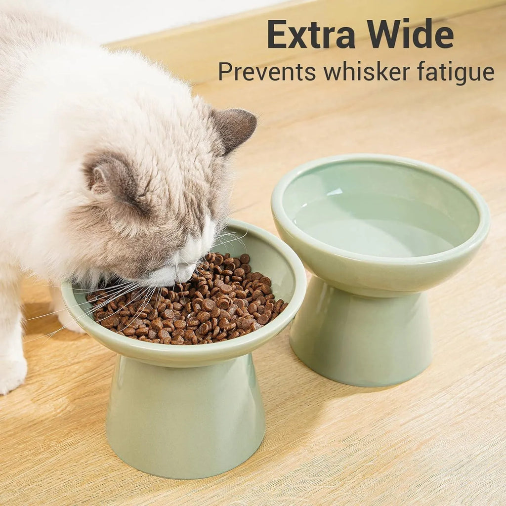 Elevated ceramic cat bowl with wide shallow dish in blue, green, pink or white colours