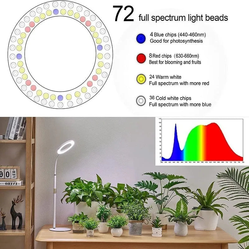 A tall, silver 6-inch ring floor light on a retractable stand next to indoor houseplants.