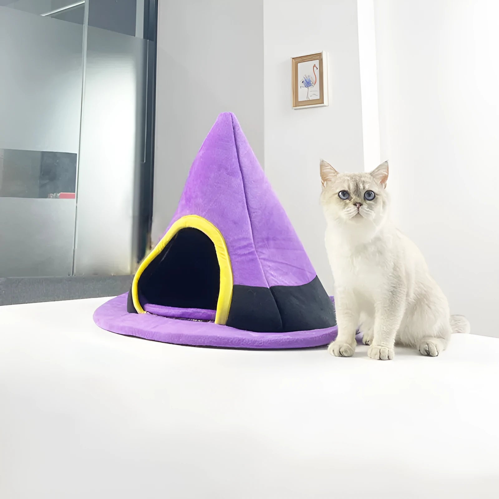 Purple Halloween witch hat shaped cloth cat bed measuring 60 by 45 centimetres