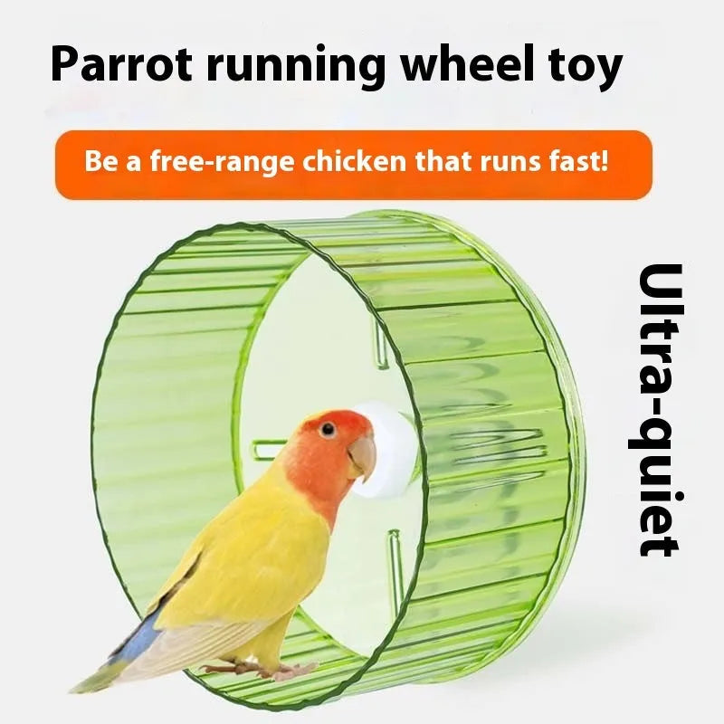 Parrot running wheel toy bird exercise treadmill in plastic construction