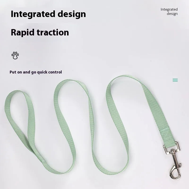Solid colour polyester dog leash in a selection of colours including blue, black, and red, shown in a 120cm length.
