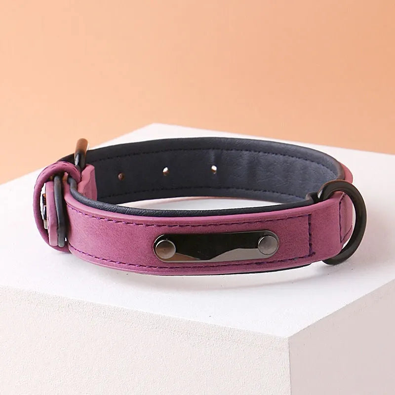 Adjustable double-layer thickened dog collar in purple, showing buckle and D-ring for ID tags.