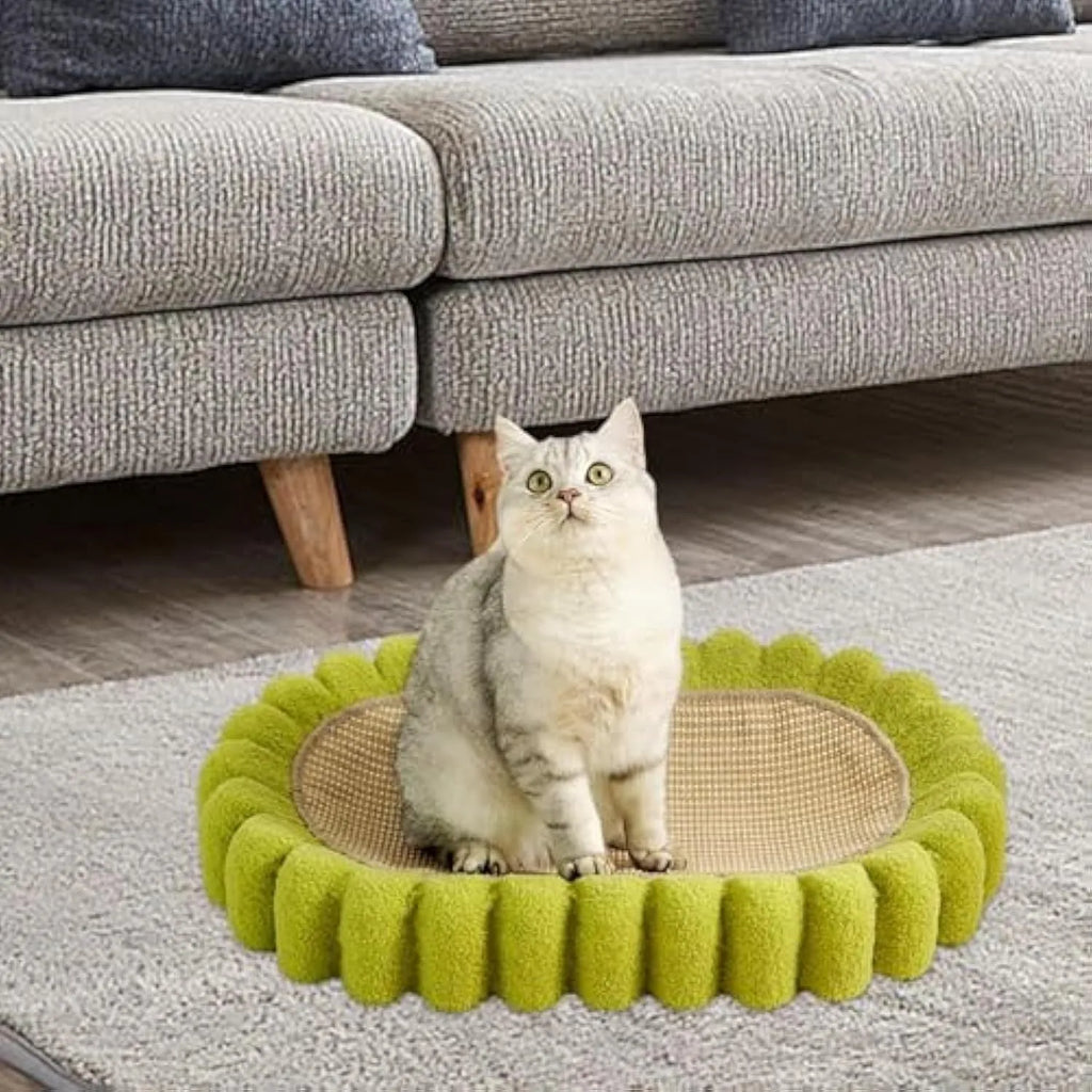 Green oval cat scratch pad bowl with sisal scratching surface measuring 650x420mm