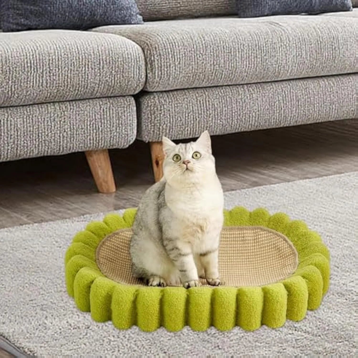 Green oval cat scratch pad bowl with sisal scratching surface measuring 650x420mm