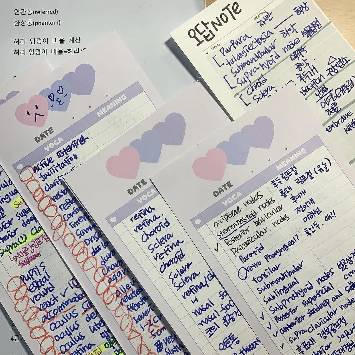 B5 half-size English learning notepad with double-sided printing in choice of pink, purple or blue cover