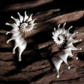 Close-up of a pair of matte-finish, three-dimensional conch shell stud earrings.